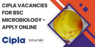 Cipla Vacancies For BSc Microbiology