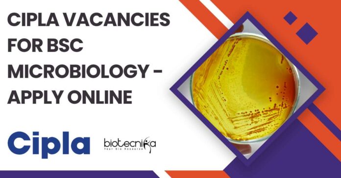 Cipla Vacancies For BSc Microbiology
