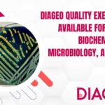 DIAGEO Quality Executive Role