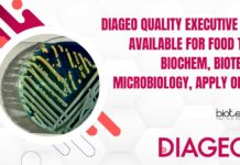 DIAGEO Quality Executive Role