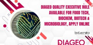 DIAGEO Quality Executive Role