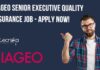 DIAGEO Senior Executive Quality Assurance Job – Apply Now! DIAGEO QA Job Vacancy