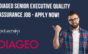 DIAGEO QA Job Vacancy