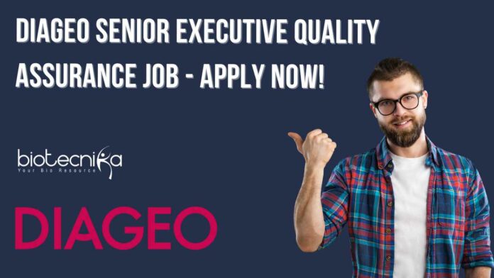 DIAGEO QA Job Vacancy