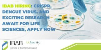 IBAB Hiring