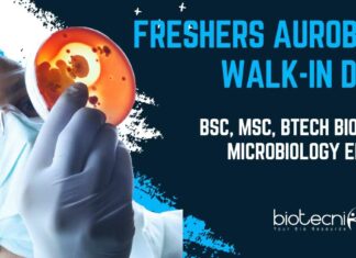 Freshers Walk-In Drive at Aurobindo