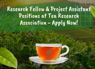 Research Fellow & Project Assistant Positions at Tea Research Association – Apply Now! Tea Research Association Projects Job Openings