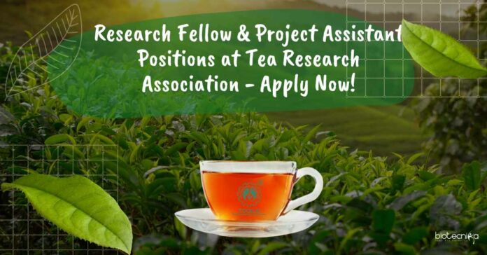 Tea Research Association Projects Job Openings