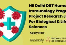 NII Delhi DBT Human Immunology Program Project Research Job For Biological & Life Sciences, Apply Now NII Delhi Project Research Job