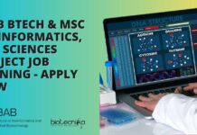 IBAB Bioinformatics Project Vacancy
