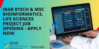 IBAB Bioinformatics Project Vacancy