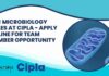 BSc Microbiology Roles at Cipla – Apply Online For Team Member Opportunity BSc Microbiology Roles at Cipla