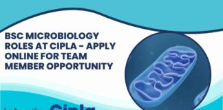 BSc Microbiology Roles at Cipla