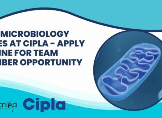 BSc Microbiology Roles at Cipla – Apply Online For Team Member Opportunity BSc Microbiology Roles at Cipla