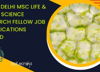 ICGEB Delhi MSc Life & Plant Science Research Fellow Job – Applications Invited ICGEB Delhi MSc Life & Plant Science