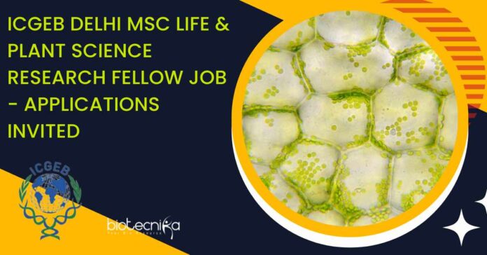 ICGEB Delhi MSc Life & Plant Science