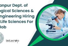 IIT Kanpur JRF Vacancy For