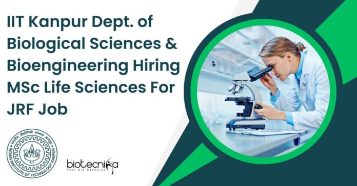 IIT Kanpur JRF Vacancy For