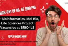 ILS Project Vacancies 2024