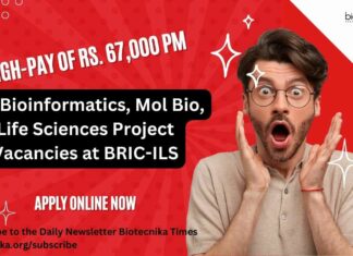 ILS Project Vacancies 2024
