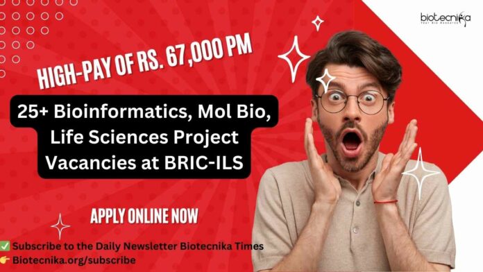 ILS Project Vacancies 2024