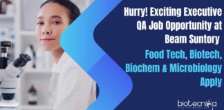 QA Job at Beam Suntory!
