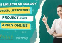 NIAB Mol Bio Jobs