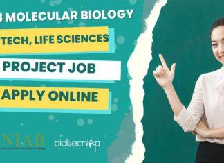 NIAB Mol Bio Jobs