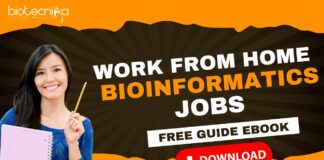 Bioinformatics Work From Home