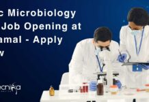 MSc Microbiology QC Job Opening