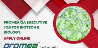 Promea QA Executive Job