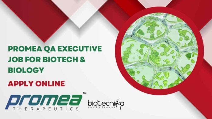 Promea QA Executive Job