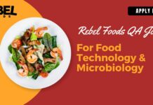 Rebel Foods QA Vacancy