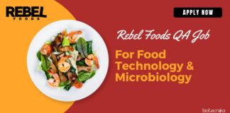 Rebel Foods QA Vacancy