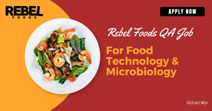 Rebel Foods QA Vacancy