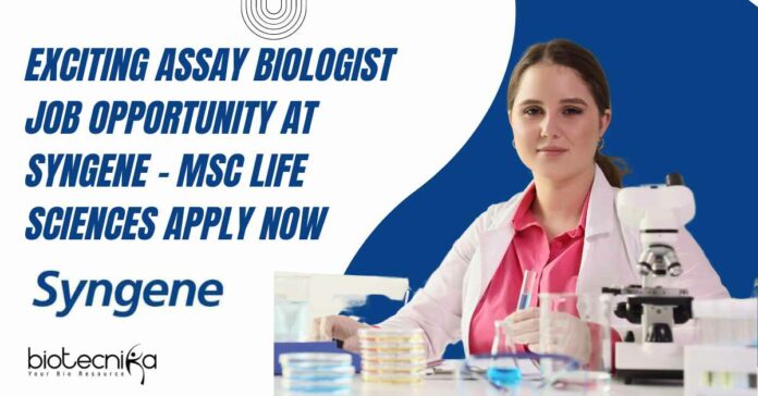Assay Biologist Job Opportunity at Syngene