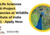 10+ Life Sciences Multi-Project Vacancies at Wildlife Institute of India (WII) – Apply Now WII Project Staff Recruitment