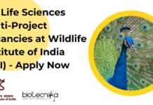 WII Project Staff Recruitment