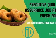 Executive QA Vacancy at iD