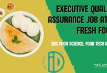 Executive QA Job at iD