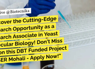 Research Opportunity as a Research Associate at IISER Mohali – Apply Now! Research Associate at IISER Mohali - Apply Now!