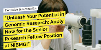 NIBMG Project Research Fellow Recruitment - Applications Invited