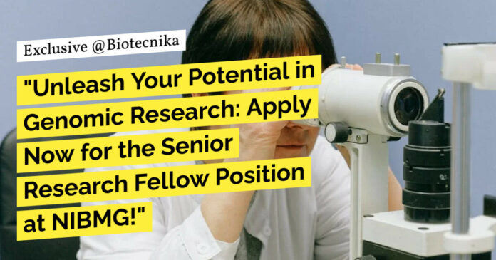 NIBMG Project Research Fellow Recruitment - Applications Invited