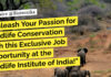 Exclusive Job Opportunity at the Wildlife Institute of India! Biological & Life Sciences Apply & Get Rs. 80,000 pm Pay wii-biological-sciences-vacancy-life-sciences-apply-now