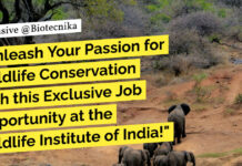 wii-biological-sciences-vacancy-life-sciences-apply-now