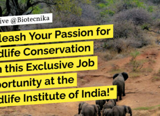 Exclusive Job Opportunity at the Wildlife Institute of India! Biological & Life Sciences Apply & Get Rs. 80,000 pm Pay wii-biological-sciences-vacancy-life-sciences-apply-now