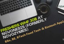 Freshers WHF Job at Novonesis