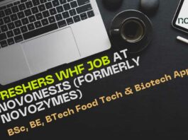 Freshers WHF Job at Novonesis