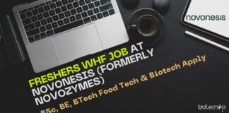 Freshers WHF Job at Novonesis