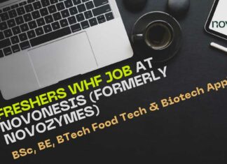 Freshers WHF Job at Novonesis